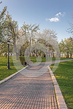 Beautiful green park on summer day