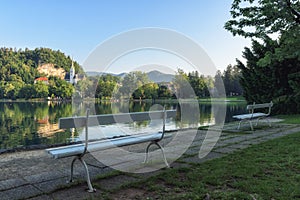 Beautiful green park, view of the alpine lake Bled, Slovenia