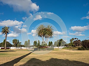 Beautiful green parklands with palm trees against clouds blue sky at the centennial park, Sydney, Australia.