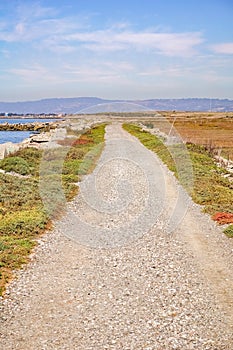 Beautiful green path on an autumn day in the marshes of East San Francisco Bay, Hayward, California