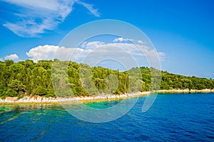 Beautiful green pine forest at Lefkada island coast Ionian Sea Greece
