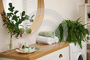 Beautiful green plants in elegant bathroom. Interior design