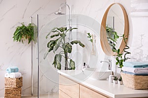 Beautiful green plants near vessel sink on countertop in bathroom. Interior design