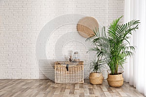 Beautiful green potted plants in room interior. Space for text