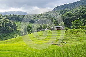 Beautiful green rice terraces and old houses in mountain hug