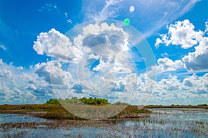 Beautiful green scenery reflecting in the lake in Everglades national park, Miami, Florida