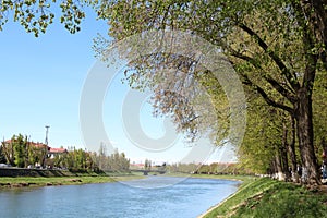 Beautiful green scenery sunny day. River view