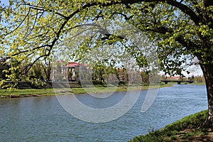 Beautiful green scenery sunny day. River view