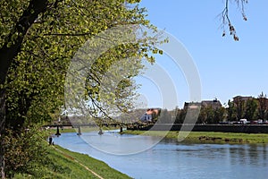 Beautiful green scenery sunny day. River view background