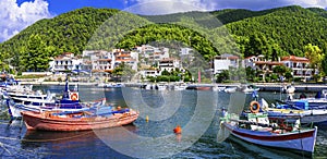 Beautiful green Skopelos island- traditional Neo Klima village. photo
