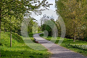 Beautiful green spring park in Frankenthal - MÃ¶rsch