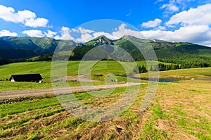 Beautiful green summer landscape of Tatra Mountains in Zdiar village, Slovakia