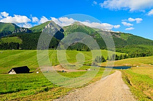 Beautiful green summer landscape of Tatra Mountains in Zdiar village, Slovakia