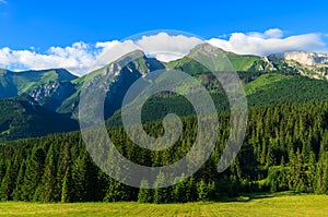 Beautiful green summer landscape of Tatra Mountains in Zdiar village, Slovakia