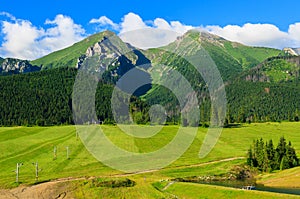 Beautiful green summer landscape of Tatra Mountains in Zdiar village, Slovakia