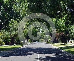 Beautiful green treed environment in the Casey district