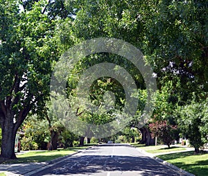 Beautiful green treed environment in the Casey district