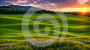 Beautiful green valley with fields and hills. Natural summer background at sunset