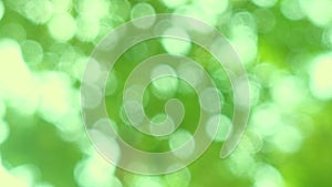 Beautiful green vibrant natural bokeh abstract background