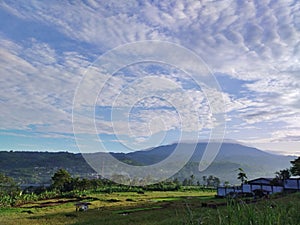 beautiful green views of rice fields and Burangrang mountains, and very clear skies