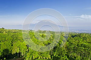 Beautiful green woods with misty mountain view