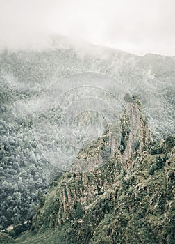 Beautiful greenery cliff.