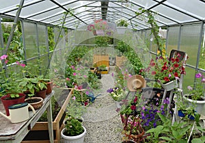 Beautiful greenhouse with flowers and vegetables in summer day