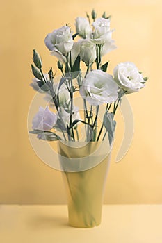 Beautiful greeny white and blue eustoma flowers bouquet in vase. Bunch of lisianthus on yellow background