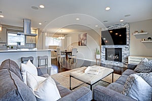 Beautiful grey living room with stone fireplace.