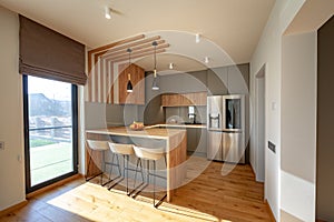 Beautiful Grey Modern Kitchen in a Luxury Apartment