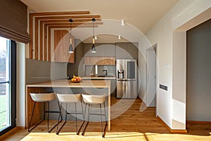 Beautiful Grey Modern Kitchen in a Luxury Apartment