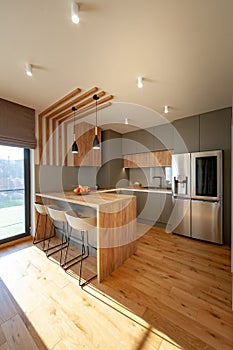 Beautiful Grey Modern Kitchen in a Luxury Apartment