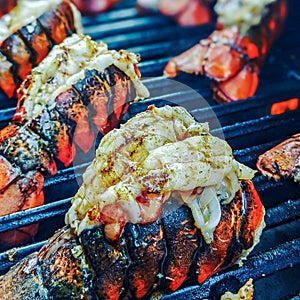 Beautiful grilled tasty lobster tails ready to eat