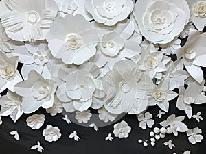 Beautiful Group of Variety Style Handmade Quilling White Floral Pattern with Small Butterfly made from Paper on Black Fabric Wall