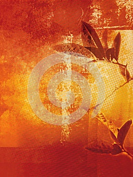 Beautiful, grunge background