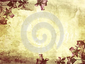 Beautiful grunge background with magnolia