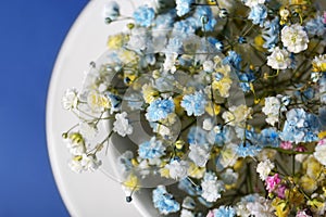 Beautiful gypsophila flowers in white cup on blue background, top view