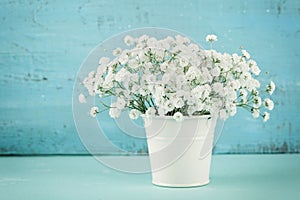 Beautiful gypsophilla flower in white vase on turquoise vintage table.