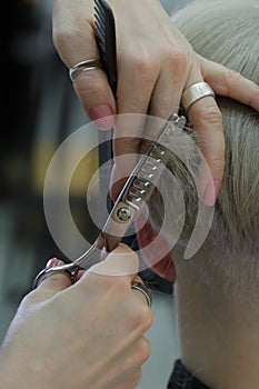 Beautiful hairdresser hands hold scissors and comb and cut the model hair