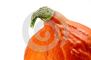 Beautiful halloween pumpkin detail with bright colors and room to write and insert text isolated on white background