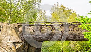 Beautiful hand crafted wooden bridge made out of tree trunks and branches, fairytale scenery, garden architecture, nature