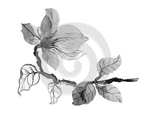 Beautiful hand-drawn monochrome flower illustration