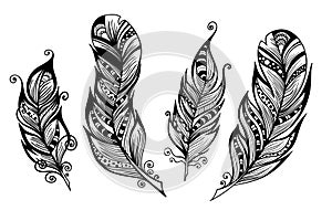 Beautiful hand drawn sketch of feathers for your design. Vector illustration