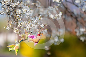 Beautiful hand made colorful birds hanging on a blooming cherry tree at spring Easter day