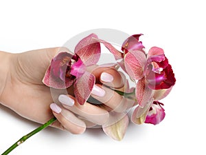 Beautiful hand with nail manicure and orchid