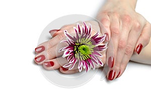 Beautiful hand with nail red manicure and flower