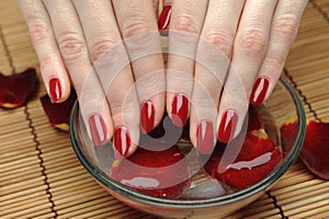 Beautiful hand with nail red manicure and petals