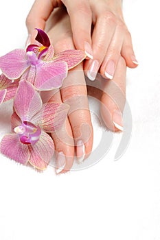 Beautiful hand with perfect nail french manicure