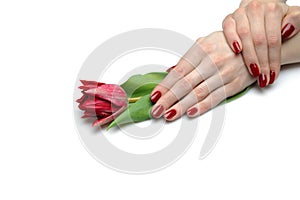 Beautiful hand with perfect nail red manicure