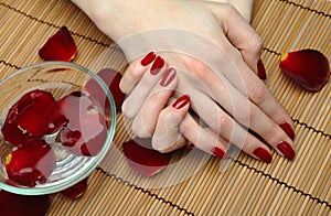 Beautiful hand with perfect nail red manicure